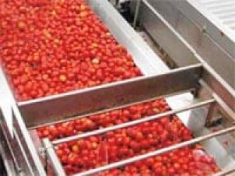 pomodoro da industria